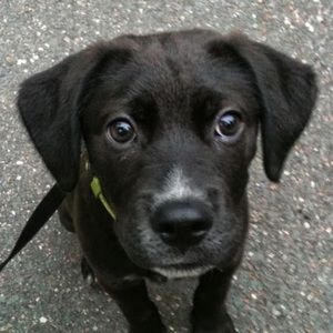 Meet your Posher, Kasey